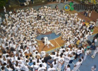 A sustentabilidade da cultura