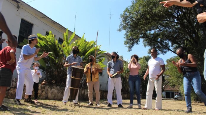 Calado na folha do cajueiro