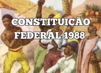 A capoeira e a cultura na Constituição Federal
